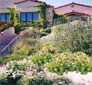 Mediterranean Landscape style Mediterranean Landscape style