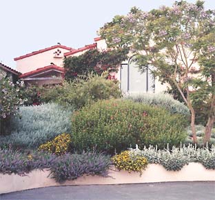 Mediterranean Landscape style Mediterranean Landscape style