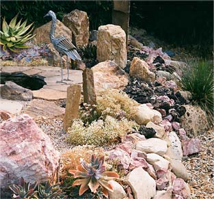 Rock Garden Rocks and Succulents