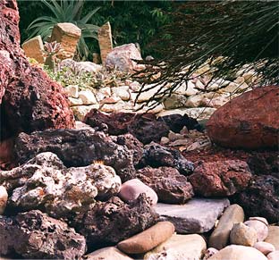 Rock Garden Rocks and Succulents