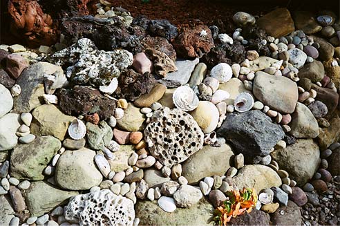 Rock Garden