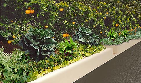 creekbed, miscanthus creekbed, miscanthus