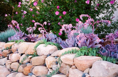 Rock Garden