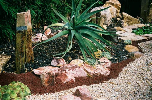 Rocks and Succulents