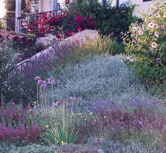 Mediterranean Landscape style